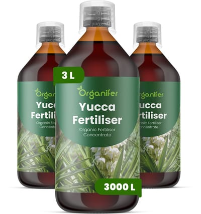 Vloeibare Meststof Voor Yucca - 3X1 L Voor 3000 L - Npk 3-4-3 - Versterkt De Natuurlijke Weerbaarheid Van Planten Tegen Droogte En Hitte - Geeft Een Prachtige Bladglans Voor Een Esthetisch Aantrekkelijk Resultaat - Jaarrond Toepasbaar - Organifer