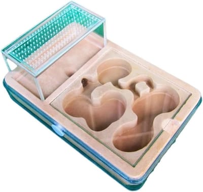 Mierenboerderij Nest - Mierenkasteel Habitat - Educatief Verzorgen - Gips Hydratatie - 18x12cm