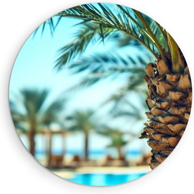 Saammp Muurcirkel Hout - Natuur - Palmboom - landschap - Ø 90 - Wandcirkel - Wanddecoratie Cirkel - Muurdecoratie Woonkamer - Slaapkamer decoratie - Rond Schilderij