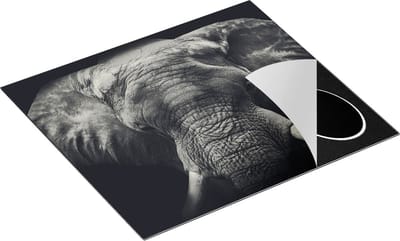 Chefcare Inductie Beschermer Olifantenkop - Olifant - Zwart Wit - 60x50 cm - Afdekplaat Inductie - Kookplaat Beschermer - Inductie Mat