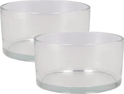 DK Design Schaal/vaas laag model - 2x - cilinder vorm - D19 x H8 cm - transparant glas - bloemenvazen