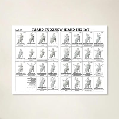 Trainingsschema Poster - Zittende Oefeningen - Thuis Fitness - Visueel Hulpmiddel - 30x45 cm - Stijl B