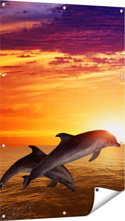 Gards Tuinposter Twee Dolfijnen bij de Zonsondergang - 80x120 cm - Tuindoek - Tuindecoratie - Wanddecoratie buiten - Tuinschilderij