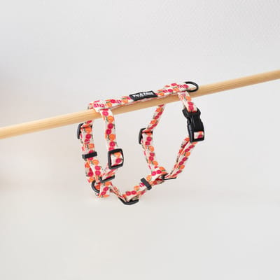 Pip & Palms - Hondentuig Tutti Frutti - Roze - Maat XS - Verstelbaar - Hondentuigje - Y Tuig Hond - voor Kleine honden