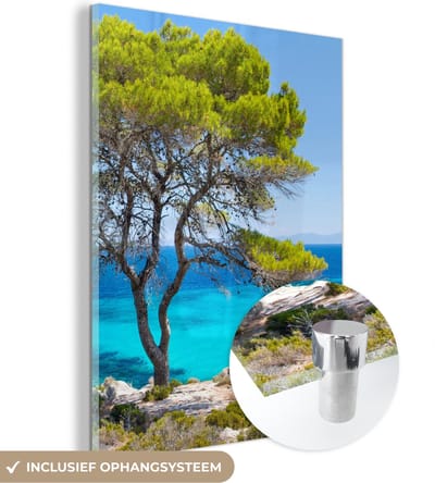 MuchoWow® Glasschilderij 30x40 cm - Schilderij acrylglas - Boom - Zee - Tropisch - Zomer - Foto op glas - Schilderijen