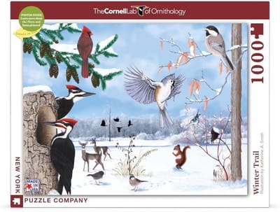 Puzzel 1000 Stukjes Winter Natuur Trail - Educatieve Vogelillustratie