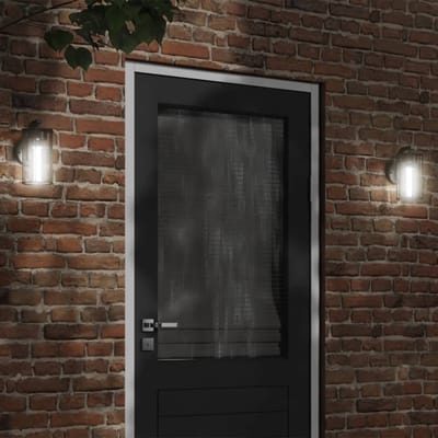 vidaXL Buitenwandlamp roestvrij staal zwart