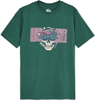 Quiksilver Paradise Point T-shirt Met Korte Mouwen Groen 14 Years Jongen