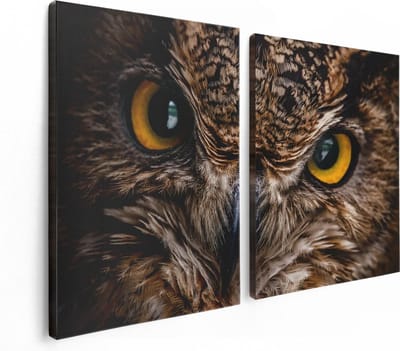 Artaza Canvas Schilderij Tweeluik Uilenkop Met Gele Ogen - Uil - 120x80 - Foto Op Canvas - Canvas Print