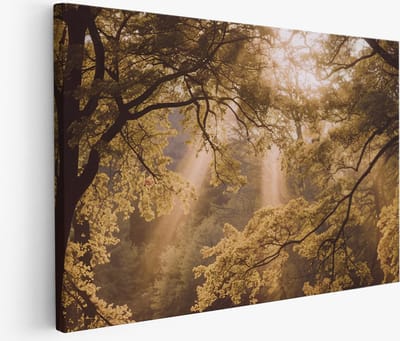 Saammp Muurcirkel Hout - Panter - Abstract - Natuur - Dieren - Ø 90 - Wandcirkel - Wanddecoratie Cirkel - Muurdecoratie Woonkamer - Slaapkamer decoratie - Rond Schilderij