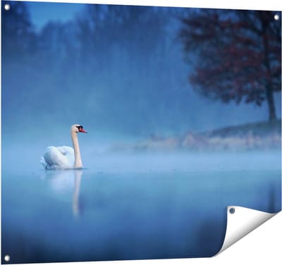 Gards Tuinposter Zwaan op het Water tussen de Mist - 100x80 cm - Tuindoek - Tuindecoratie - Wanddecoratie buiten - Tuinschilderij