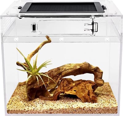 Lexium Reptielenverblijf - Terrarium reptiel - Terrarium baardagaam - Een fijn verblijf voor jouw reptiel