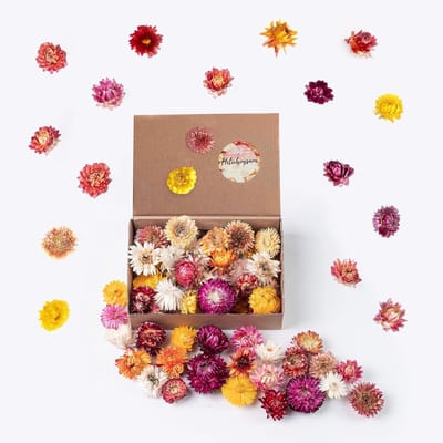 SnelShoppen - Gedroogde Bloemen als Lente Decoratie en voor Creatieve Kransen - Stro Bloemen in Kleurrijke Mix - Natuurlijke Sprinkeldecoratie - Lente