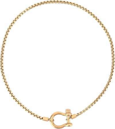 Stalen Carabiner Ketting met Schroefanker en Foxtail Ketting voor Modebewuste Dames en Heren, Nautische Sieraden en Accessoires