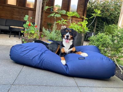 Dog's Companion Hondenkussen / Hondenbed - S - 70 x 50 cm - Donkerblauw Water- en Vuilafstotende Coating - Waterafstotend