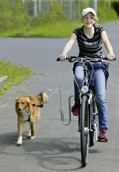 Flamingo fietsbeugel Doggy Sprinter - 30 x 30 cm