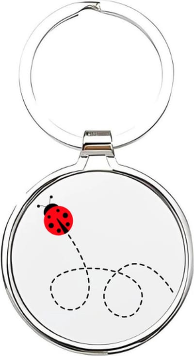 Akyol - Lieveheerbeestje Sleutelhanger - lieveheersbeestje - dierenliefhebbers - insecten - kever - keverbeestje - dieren - geluksbrenger - coccinellid - cadeau voor dierenliefhebbers - insect - kapoentje - 4 x 7,5 CM