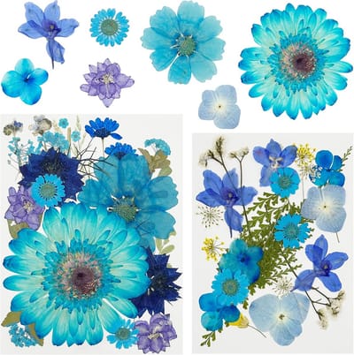 44 Stuks Gedroogde Geperste Bloemen en Bladeren Blauw voor Hars Kunst en Knutselen