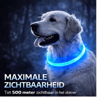 Professor Q LED Honden- en Kattenband - Medium 50 cm - Blauw - USB Oplaadbare Veiligheidsband - Verstelbaar en Afsnijdbaar, 3 Lichtstanden - Voor Nachtelijke Wandelingen - Licht Halsband - 1 stuk