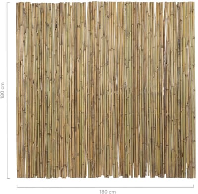 Masters of Bamboo® Bamboemat Basic - 180 x 180 cm - Naturel - Bamboe schutting op rol - Bamboe mat