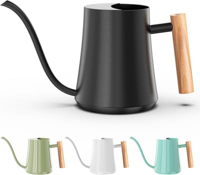 Zwarte metalen waterkan 35 oz met lange uitloop voor kamerplanten en bonsai
