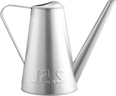Metalen Tuingieter - Waterkan Planten - Planten Water Geven - Lange Dunne Tuit - 2.5 Liter - Gegalvaniseerd