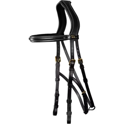 Dy'on Hackamore D Collection By Dy'on Zwart