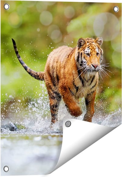 Gards Tuinposter Tijger Loopt in het Water - 40x50 cm - Tuindoek - Tuindecoratie - Wanddecoratie buiten - Tuinschilderij