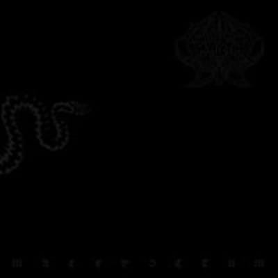 Maledictum -10''-
