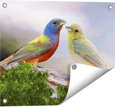 Gards Tuinposter Getekende Gorzen Vogels - Kleur - Abstract - 50x40 cm - Tuindoek - Tuindecoratie - Wanddecoratie buiten - Tuinschilderij