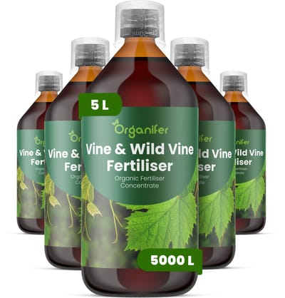 Vloeibare Meststof Voor Wijnstok En Wilde Wijnstok - 5X1 L Voor 5000 L - Npk 2-1-8 - Bevordert De Langdurige Vitaliteit En Stabiliteit Van De Plant - Verbetert De Bloei - De Bessenontwikkeling En De Natuurlijke Voortplanting - Organifer