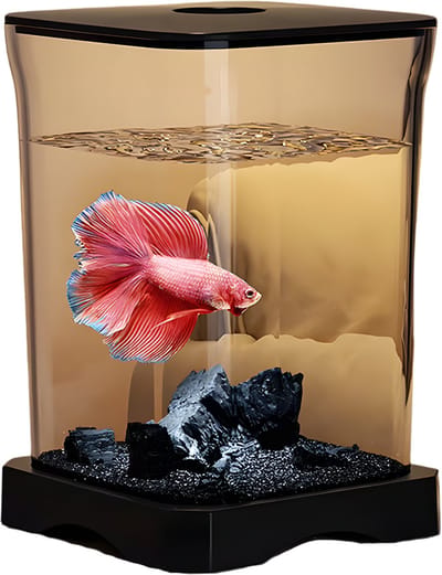 Kleine Acryl Aquarium - Voor Thuiskantoor & Desktop - Starter Kit met LED Licht & Ecosysteem - Helder Decor voor Vissen - Zwart