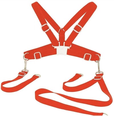 ISI Mini Veiligheidstuigje voor Kinderen met Looplijn – 2 stuks - Rood – Verstelbaar & Comfortabel – Ideaal voor Wandelen & Spelen