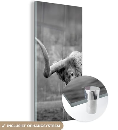 MuchoWow® Glasschilderij 60x120 cm - Schilderij acrylglas - Schotse Hooglander - Koeienkop - Landschap - Natuur - Koe - Foto op glas - Schilderijen