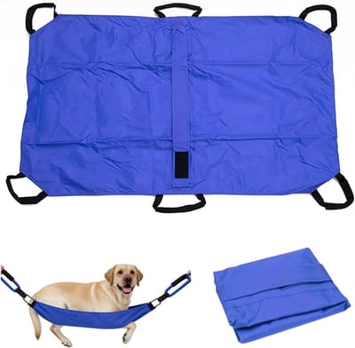SnelShoppen - Opvouwbare Huisdierdrager voor Honden en Katten tot 15kg - Robuuste Transporttas met 6 Handvatten - Ideaal voor Noodsituaties en Reizen