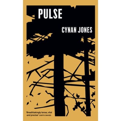 Pulse - Cynan Jones