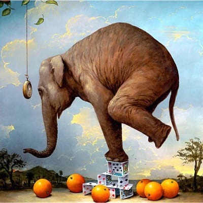 Diamant borduurwerk dier decor foto olifant diamant schilderij kruissteek 30x30CM brown