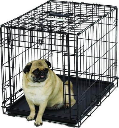 Ovation single door training crate 62x47x50 cm