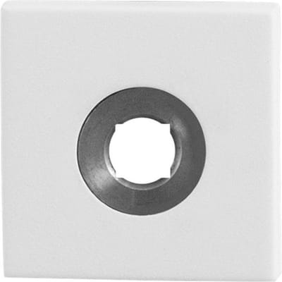 Rozet - Wit - RVS - GPF - Binnendeur -