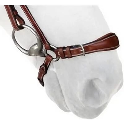 Duitse paardenneusriem Silver Crown
