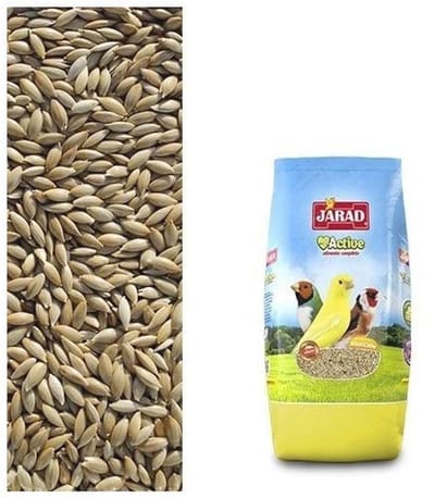 Vogelvoer voor Kanaries - Kwaliteitsvoeding voor Gezonde Vogels