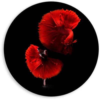 KuijsFotoprint - Schilderij - Danseres Met Rode Vis - Zwart En Rood - 80 X 80 Cm