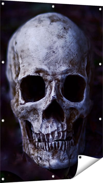 Gards Tuinposter Schedel - Doodshoofd - 80x120 cm - Tuindoek - Tuindecoratie - Wanddecoratie buiten - Tuinschilderij
