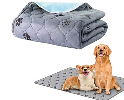 Huisdiermatten voor katten en honden - Eén stuk Wasbare en herbruikbare zachte hondenmat - Absorberende Training Pads voor Hondenbed - Absorberende en antislip geboortemat voor huisdieren（ Grijs 40*60cm ）