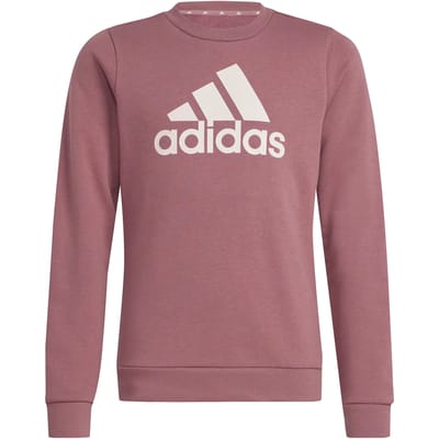 Adidas Essentials Big Logo Cotton Sweatshirt Roze 7-8 Years Meisjes