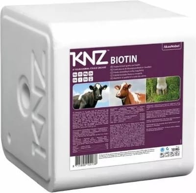 Excellent Liksteen Biotin - 10 kg - Zoutliksteen met biotine en extra selenium - Geschikt voor rundvee
