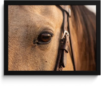 Poster in lijst - Fotolijst 40x30 cm - Posters - Paard - Oog - Bruin - Posterlijst zwart - Decoratie - Wanddecoratie woonkamer - Muurdecoratie slaapkamer