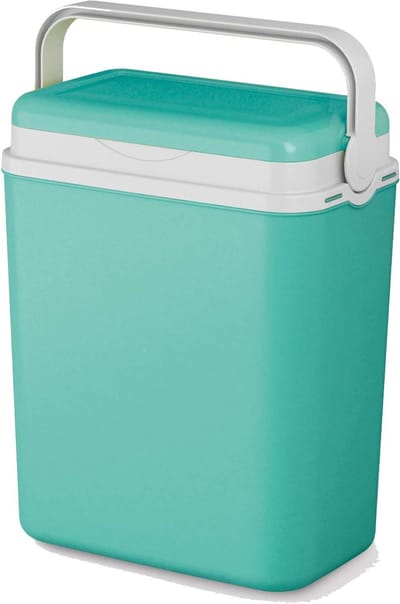 Koelbox 12 Liter - Picknickbox Isolatiebox - Eten Koel Houden - Met Draaggreep - 29 x 17 x 38 cm