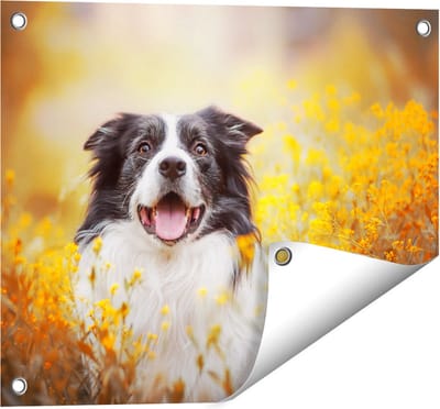 Gards Tuinposter Blije Hond tussen de Bloemen - 50x40 cm - Tuindoek - Tuindecoratie - Wanddecoratie buiten - Tuinschilderij
