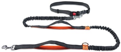 EXCITAT Hondenriem - Looplijn hond - Reflecterend - met Heupriem - tot 240 cm - Voor honden tot 110 kg - Oranje